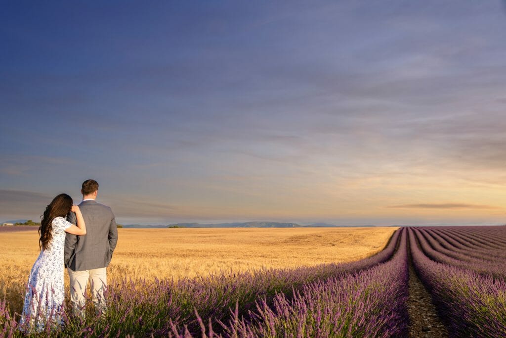 lavender fields proposal in Provence France